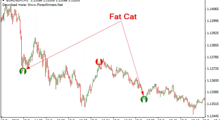 FAT CAT SCALPER FOREX INDICATOR FREE DOWNLOAD